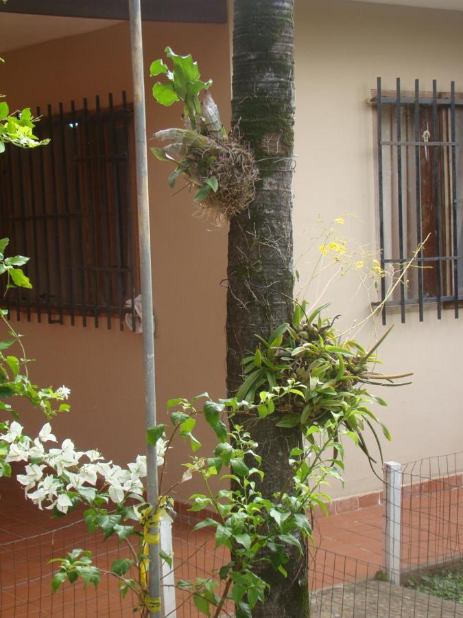 A Pousada Sur Backpackers Santa Cruz de La Sierra Exterior foto